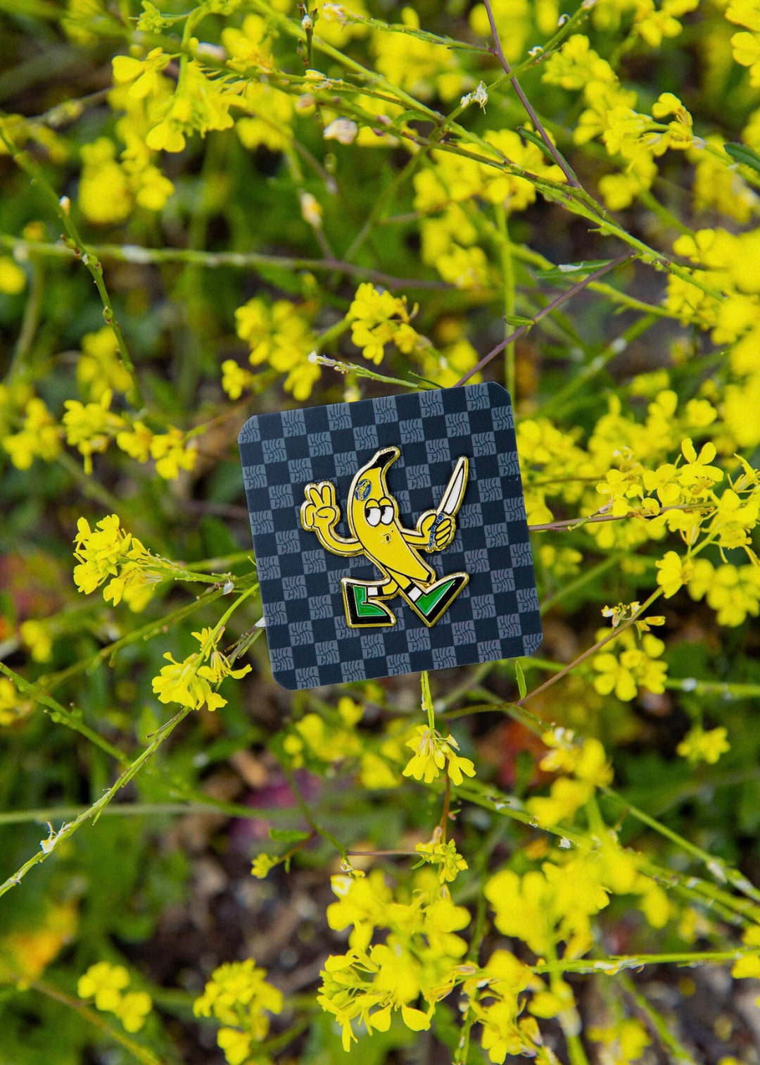 CHACHO-PINS