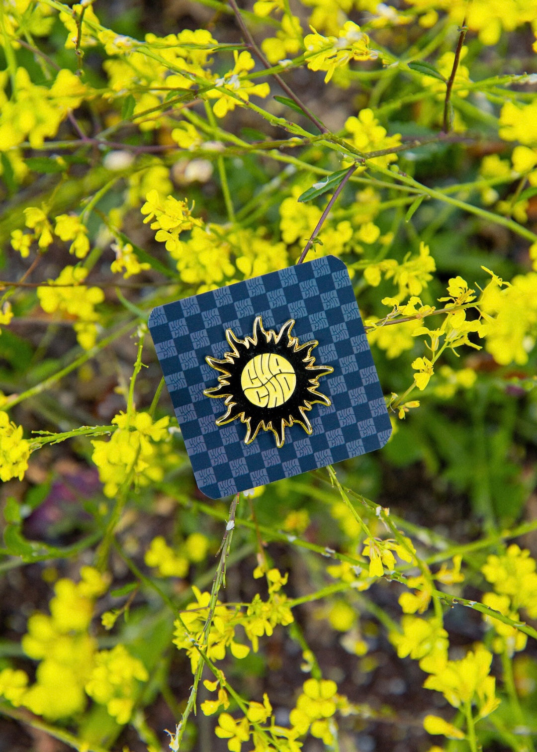 CHACHO-PINS