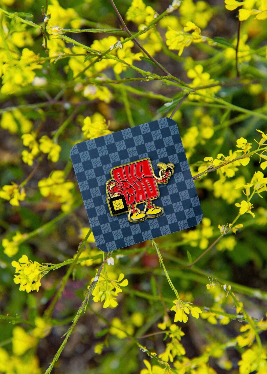 CHACHO-PINS